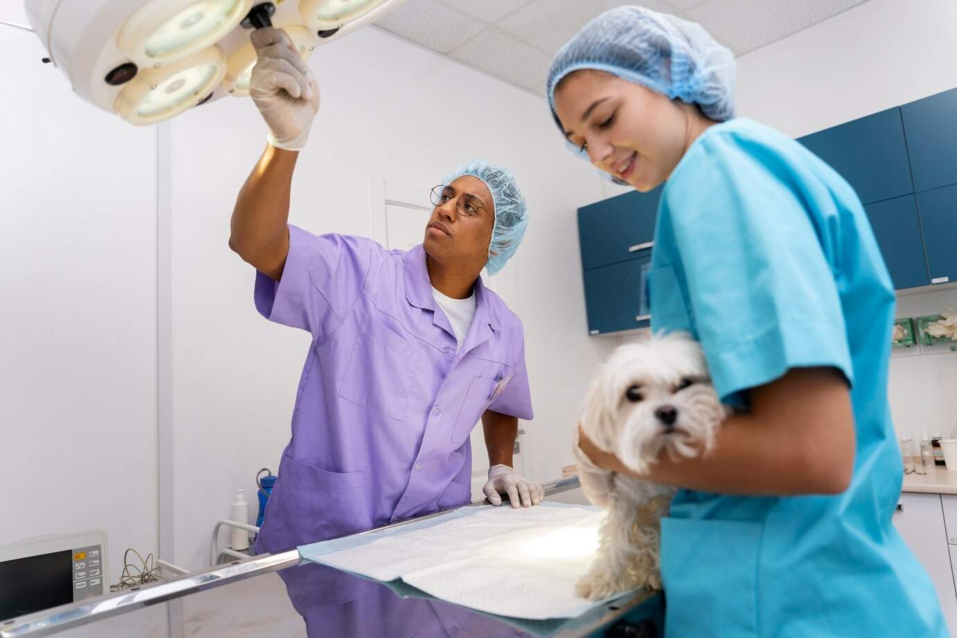 Veterinarian Services Kendall