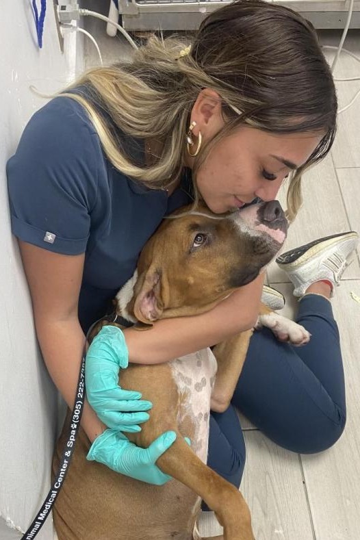 Veterinarian Kendall